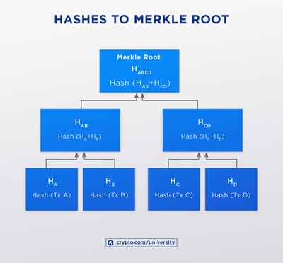 Hashes To Merkle Rootjun29