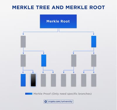 Merkle Tree And Merkle Rootjun29